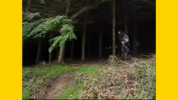 BUC_video_winner