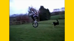 BUC_Video