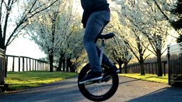 EliBrillSpring2012
