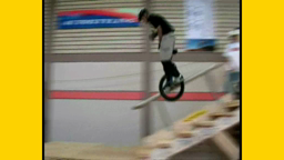 Fluck2007