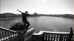 sincokriszshred