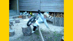 SuccessfullCrash