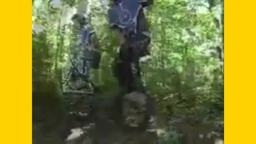 TWNR_cutout