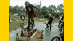 Fluck_2005