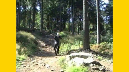 HolladieWildsau-DownhillinBischofsmais