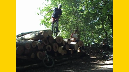 ISDW2009